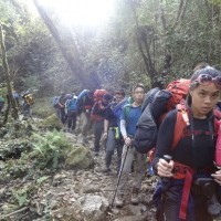 obs group, thirdpole treks, Annapurna purna panoroma, annapurna trekking, ghorepani trekking, poon hill trekking, expedition nepal, ghorepani ghandruk trekking